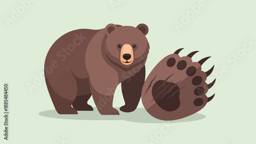 Brown bear stands next to its giant paw, on a light green background