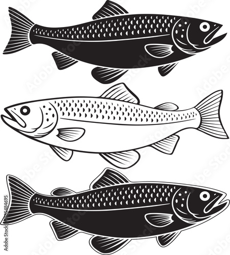 Three fish in monochrome