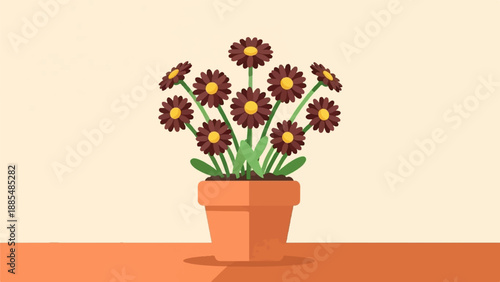 A terracotta pot overflows with dark brown flowers on a flat surface