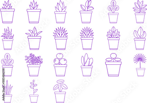 Collection of Potted Plants in Minimalist Line Art Style Architectural drawing CAD design