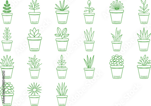Collection of Potted Plants in White Pots Architectural drawing CAD design
