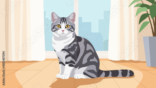 Adorable tabby cat sits on a wooden floor in front of window and curtains