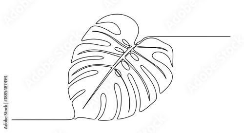 Monstera Leaf Simple Line Art Illustration.