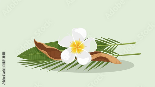 A white frangipani flower with yellow center rests on palm fronds