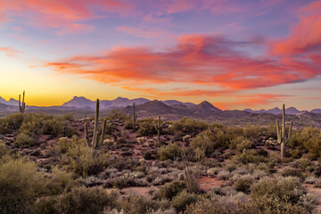 Leinwandbilder Lavendelfarbene Motive The Superstition Mountains of Mesa, Arizona  © dennis