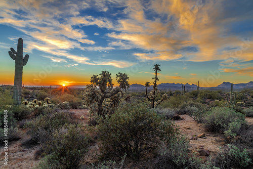 Tableau sur toile The Superstition Mountains of Mesa, Arizona