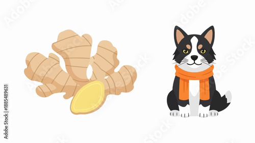 Black and white dog wearing an orange scarf sits beside ginger