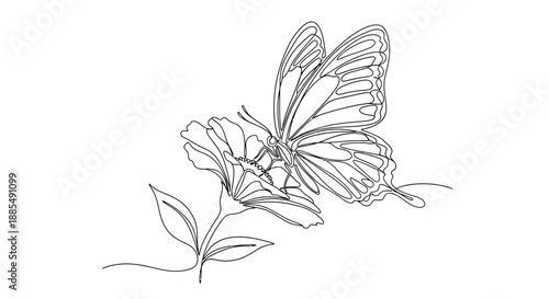Butterfly on Flower Sketch Illustration.