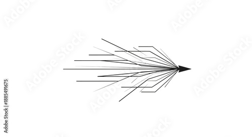 Black Arrowhead with Feathers on White.