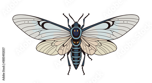 Beautifully detailed illustration of a cicada insect with spread wings showing intricate patterns in shades of blue and cream.