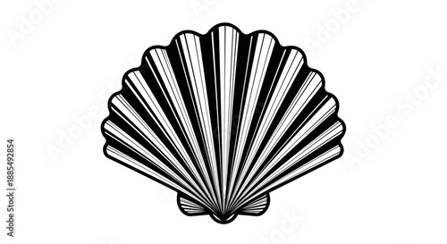 Elegant scallop seashell line art illustration features radial symmetry and fine stripes, perfect for marine themed designs.