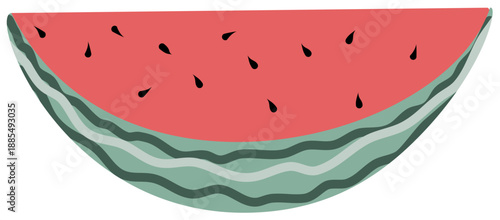 watermelon vector illustration