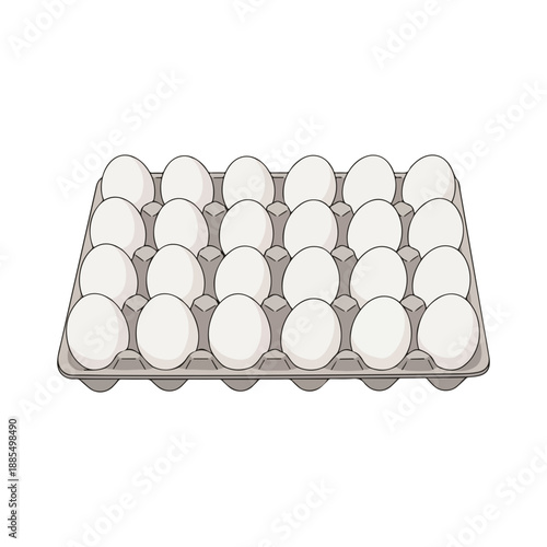 Full tray of white chicken eggs cartoon vector