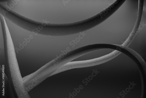 abstract picture, curved white lines, play of light and shadow, bizarre curves, projection of consciousness, contemplation