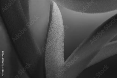 abstract picture, curved white lines, play of light and shadow, bizarre curves, projection of consciousness, contemplation