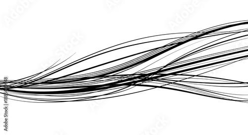 Black Lines Twisting and Turning Together.