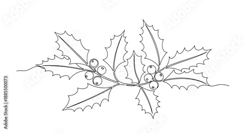 Black and White Illustration of Holly Leaves.