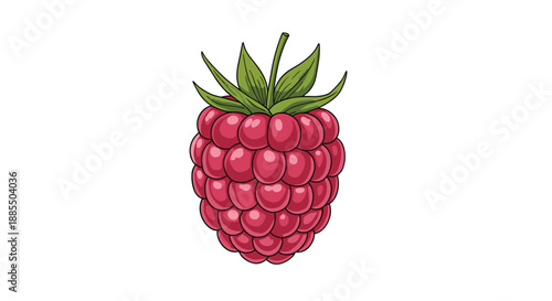 Detailed and realistic hand-drawn illustration of a single ripe pink raspberry with green leaves isolated on a white background.
