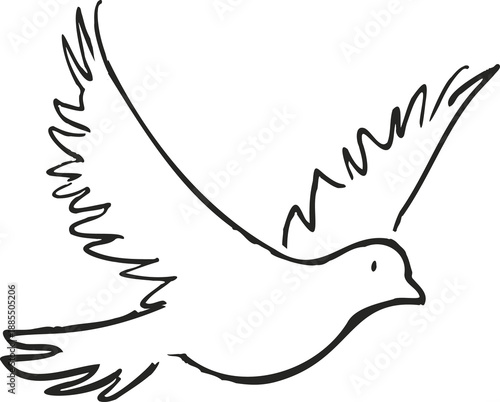 Photos White dove flying