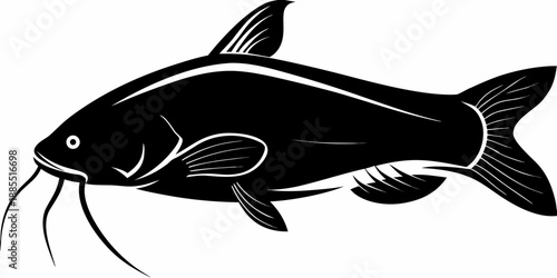 A striking black and white illustration of a whiskered catfish in profile