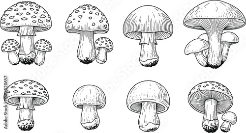 Blank placeholder image representing a generic vector file for digital assets