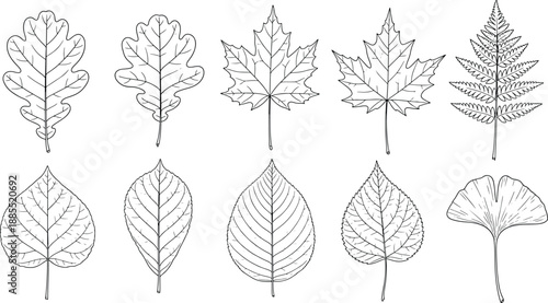 A versatile placeholder image indicating the presence of a scalable vector file for design projects