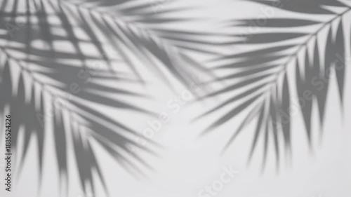 Soft focus image of tropical palm fronds' shadows on a white surface, creating a minimalist and serene abstract composition
