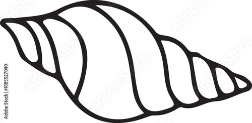Shells' Spiral: spiral, monochrome, seashell sketch, shell drawing, mollusk, ocean, beach, spiral intricacy, evoking a sense of tranquility.