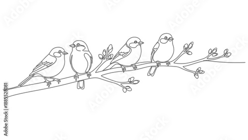 Four Birds Perched on Branch Illustration.