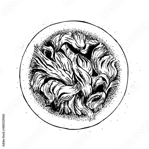 Ilustración vectorial editable plato con carne desmechada, dibujo realista, lapiz