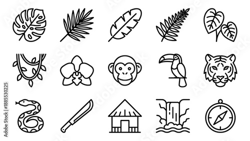 Tropical leaf line icon set. Minimalist jungle foliage vector collection. Exotic nature plants uniform stroke width. Botanical summer elements. Palm monstera fern outline symbols.