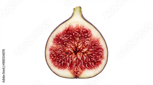 Vertical cross-section of fresh purple fig

