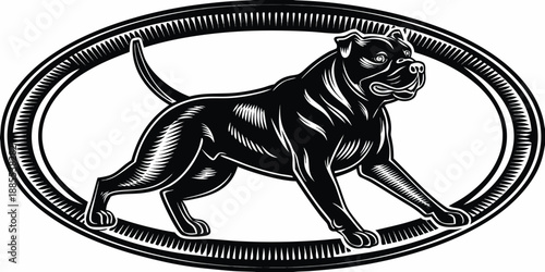 Detailed engraving of a muscular pit bull dog within an oval frame