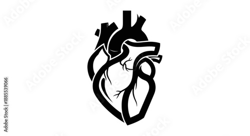 Black anatomical heart vector illustration