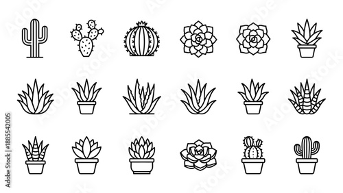 Cactus and succulent line icons set. Minimalist vector botanical plants. Uniform stroke outline. Desert nature flower pot houseplant. Simple modern graphic design elements. Isolated.