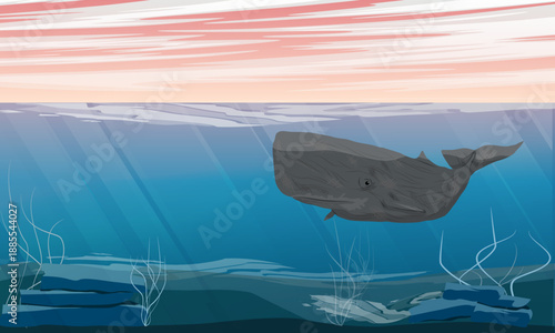 A sperm whale swims in shallow water near the ocean's surface. Realistic vector animal