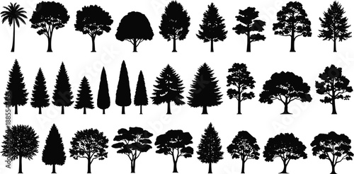 Large collection of various tree silhouettes including pine, oak and palm, black vector forest illustration set isolated on white background for creative design projects