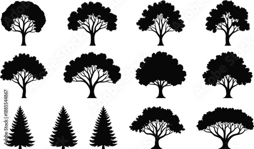 Collection of mixed tree silhouettes including oak and pine, black vector forest illustration set isolated on white background for nature and design projects