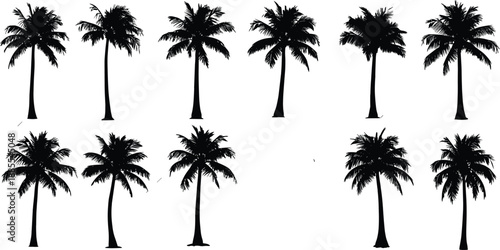 Collection of tropical palm tree silhouettes, black vector illustrations of exotic beach trees isolated on white background for summer travel and nature design projects
