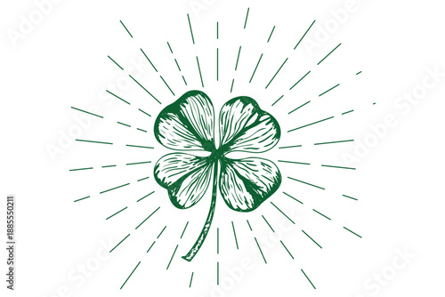 Clover hand drawn isolated background. St Patrick's Day design.