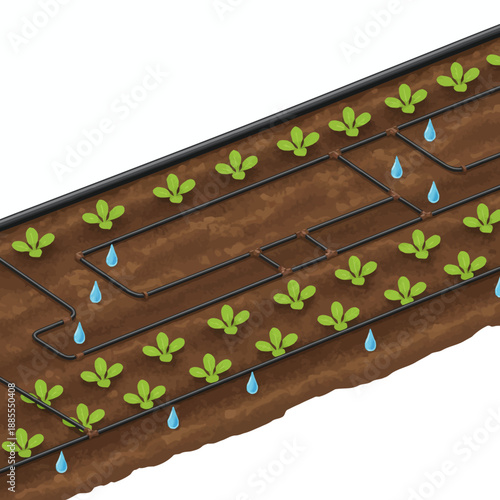 Illustration of drip irrigation system watering small green plants in brown soil