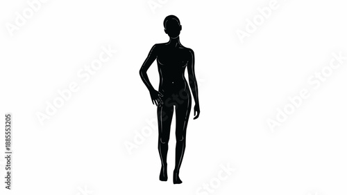 Silhouette of a standing female mannequin against a white background.