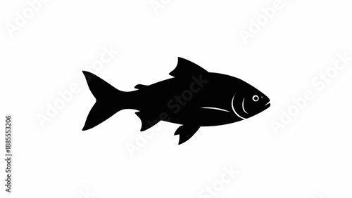 Silhouette of a single fish swimming in clear water.