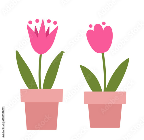 Spring tulip potted plant.
Outdoor gardening potted plants illustration.
Potted flower icon collection.
Flowers in pots Clip art vector set.
Transparent background. SVG.