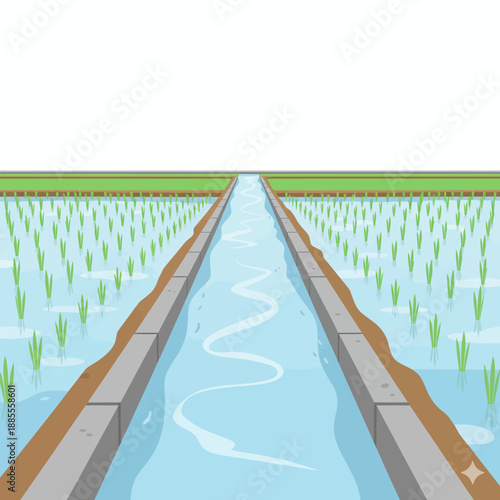 Irrigation canal supplying water to green rice paddies under a white sky