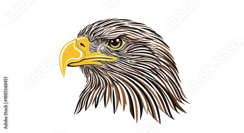 Illustration of a bald eagle's head with detailed feathers on a white background.