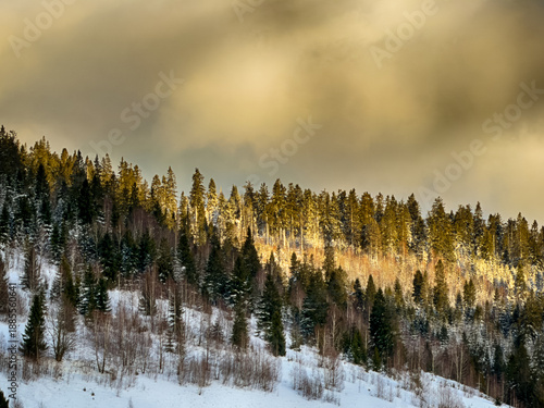 Mystical snowy Carpathian peaks under cloudy skies in the sunny weather