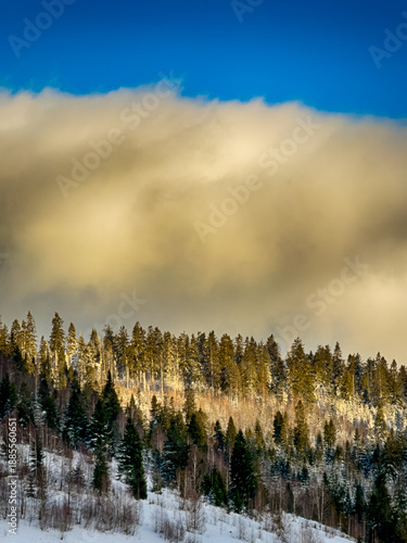 Mystical snowy Carpathian peaks under cloudy skies in the sunny weather