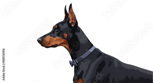 Illustration of a Doberman Pinscher dog with a blue collar against a white background.