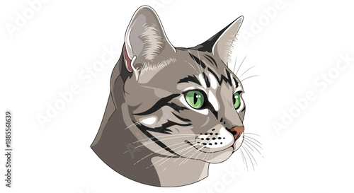 Illustration of a gray tabby cat's head with green eyes on a white background.